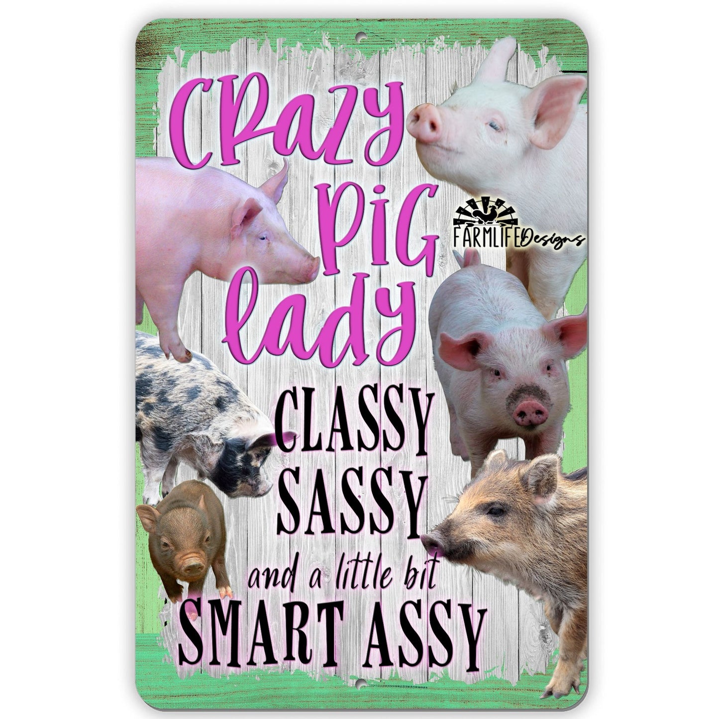 Pig Lady Sign - Crazy Pig Lady... Classy Sassy... Handmade Aluminum 8x12