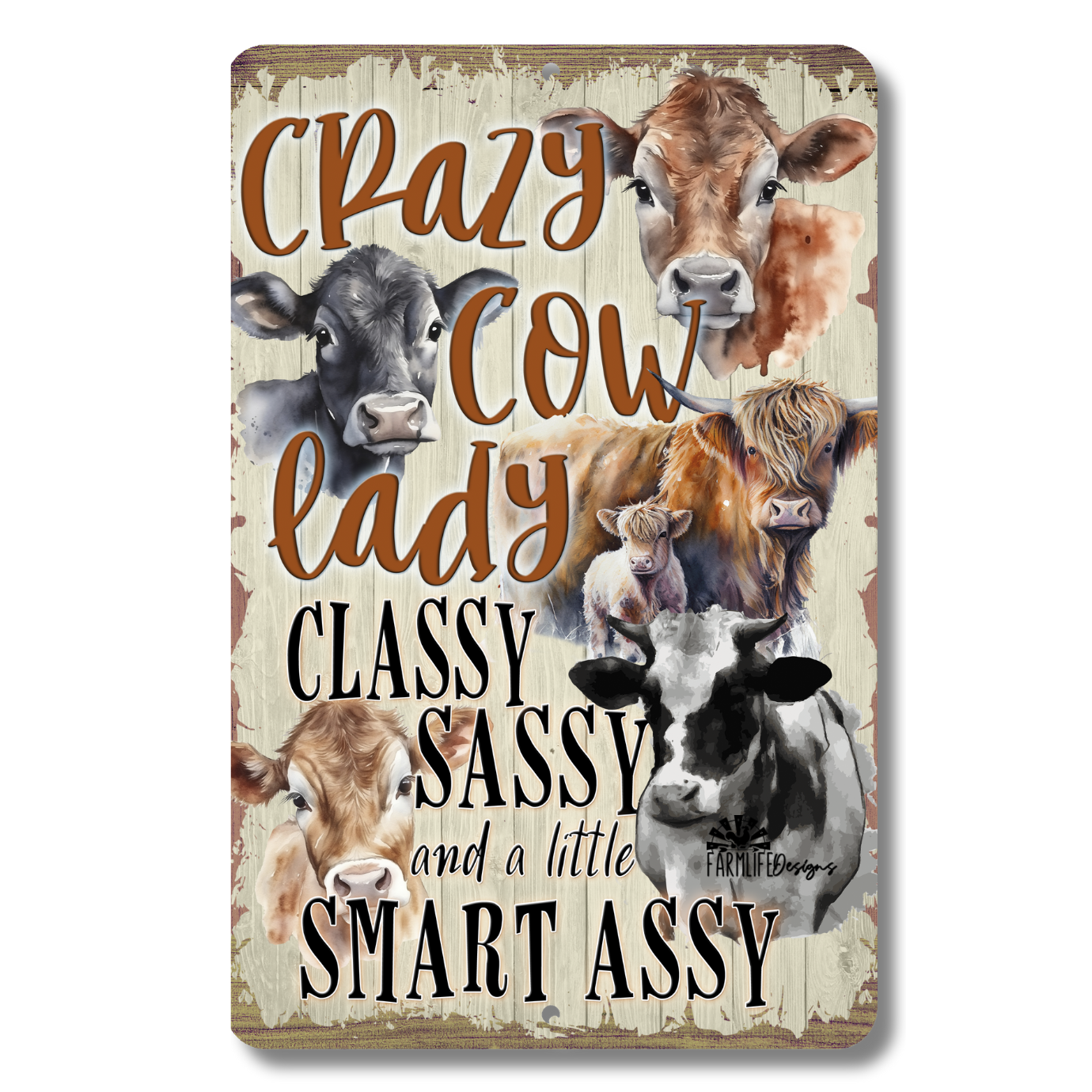 Cow Sign, Crazy Cow Lady, Classy Sassy Smart Assy, 8x12 aluminum