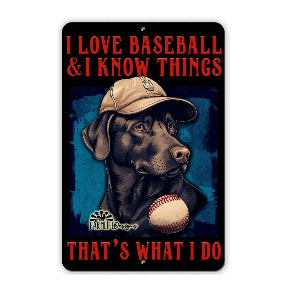 Black Lab Baseball Sign 8"x12" Funny Handmade Labrador Retriever Dog Sign