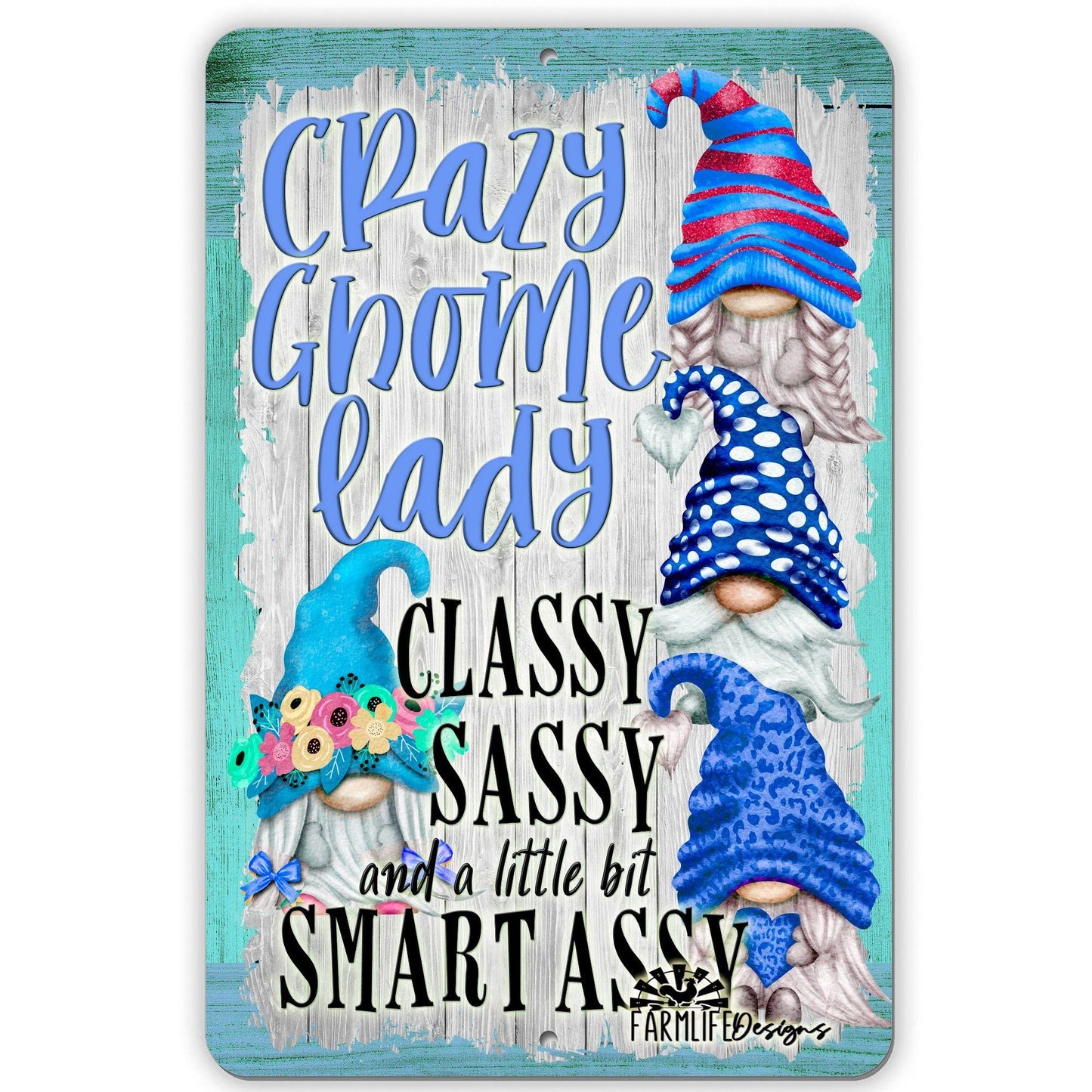 Crazy Gnome Lady Sign - Classy, Sassy, Smart Assy, - in Blue Handmade - 8"x12" aluminum