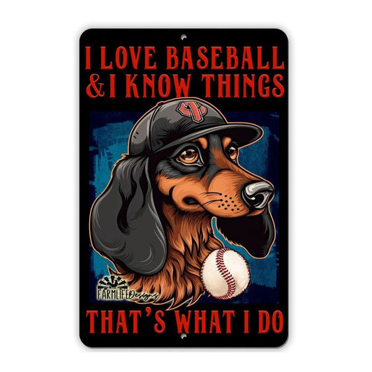 Dachshund Baseball Sign 8"x12" Funny Handmade Wiener weiner Dog Sign